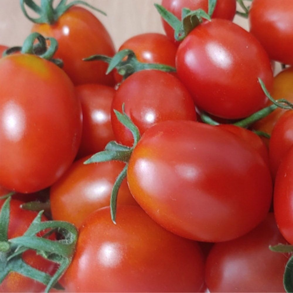 1687849353 thumbnail