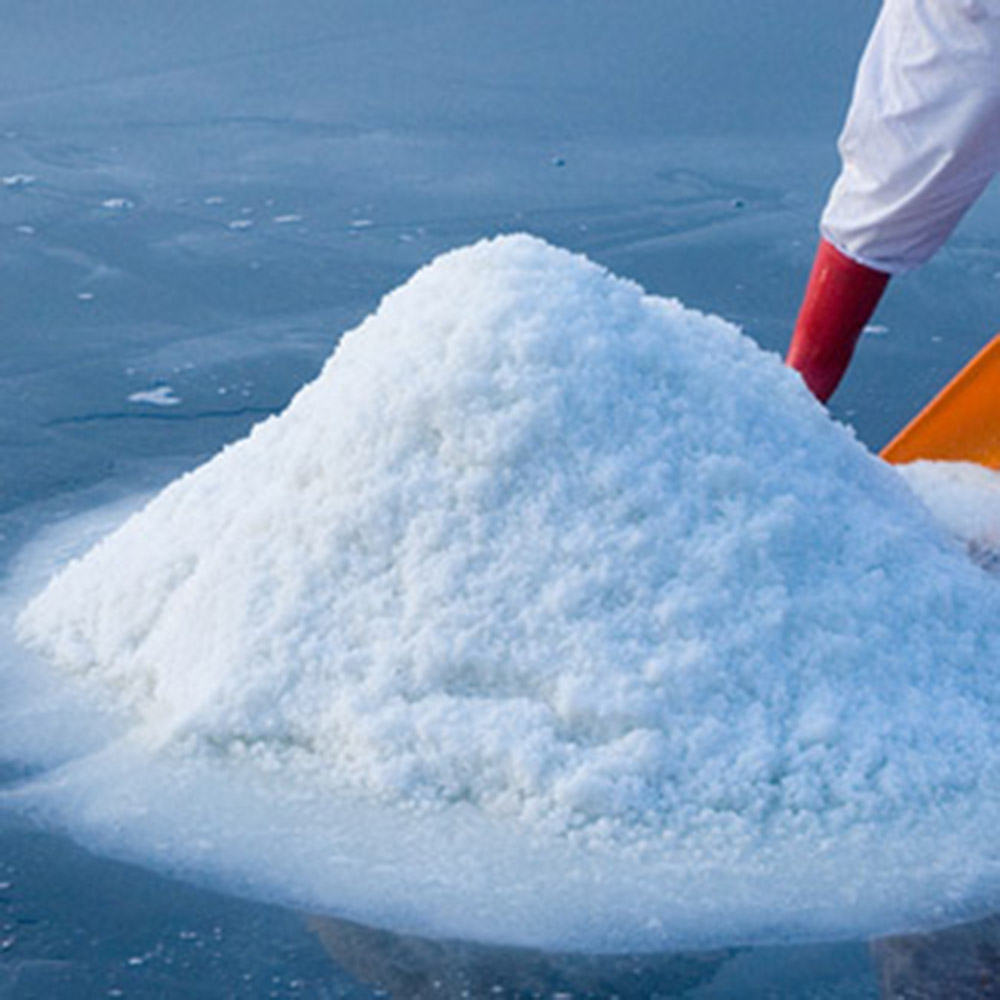 1687928091 thumbnail