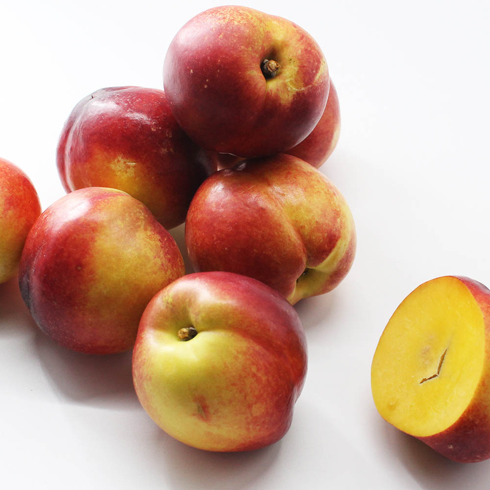 1687929723 thumbnail