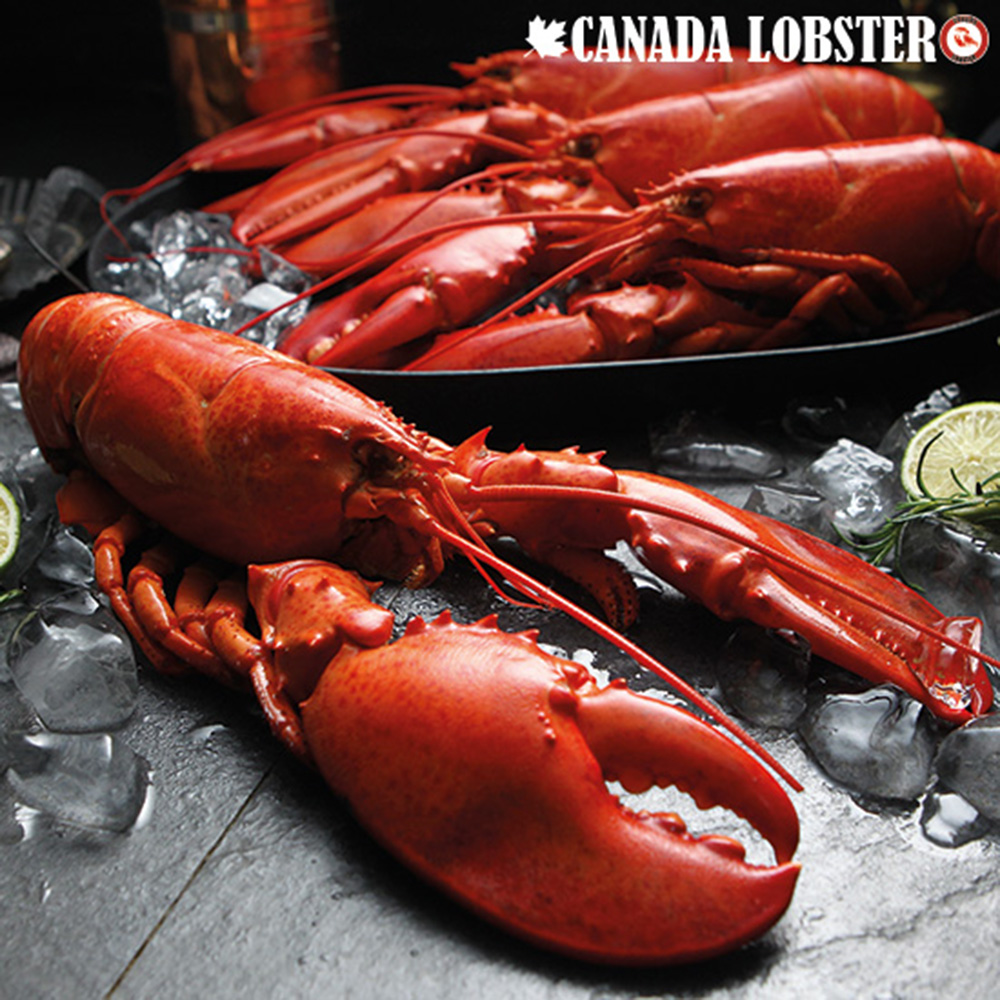 1688000371 thumbnail