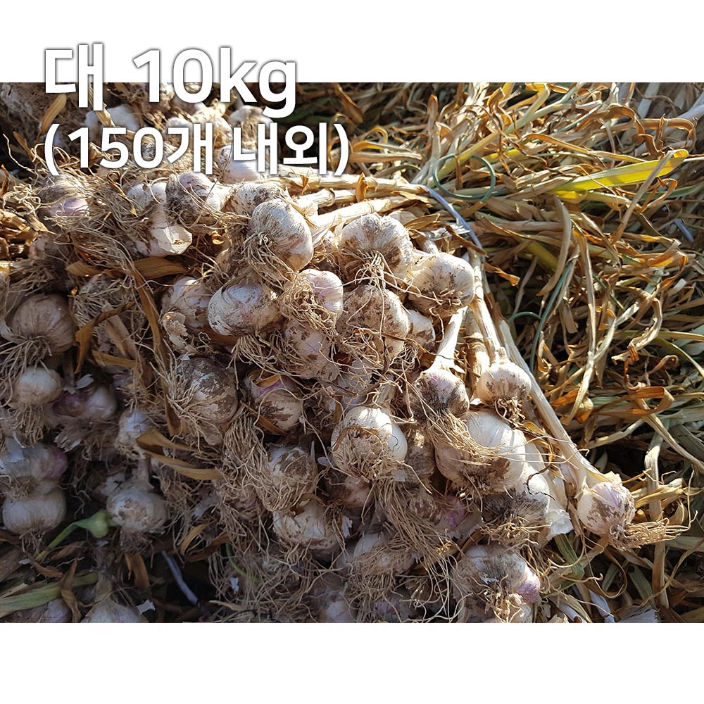 1688091397 thumbnail