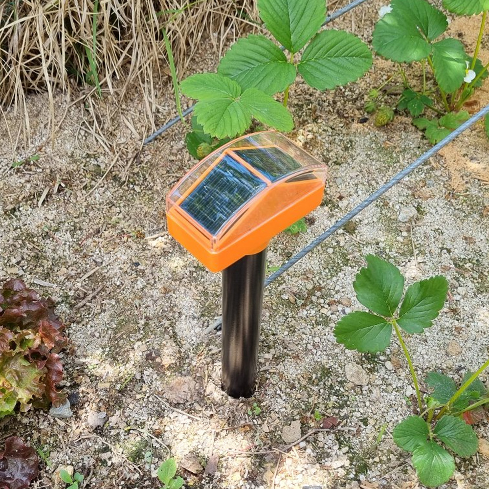 1688619417 thumbnail