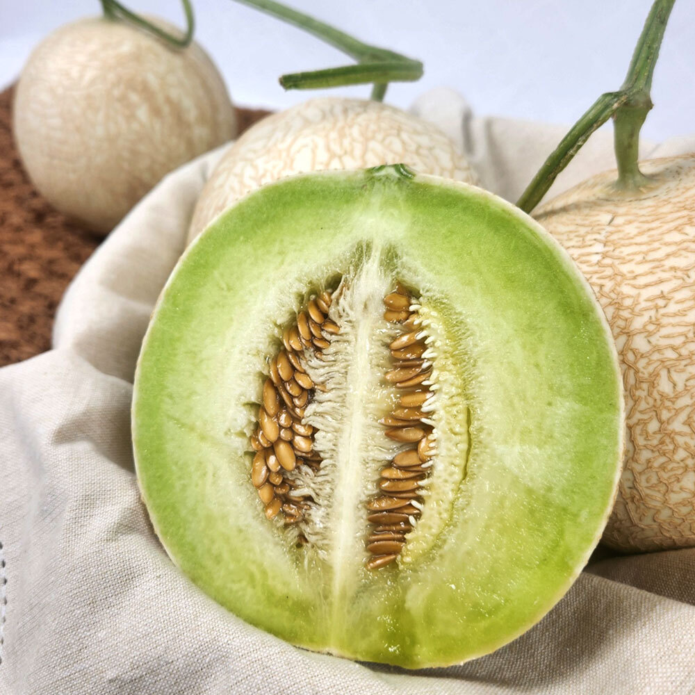 1688691049 thumbnail