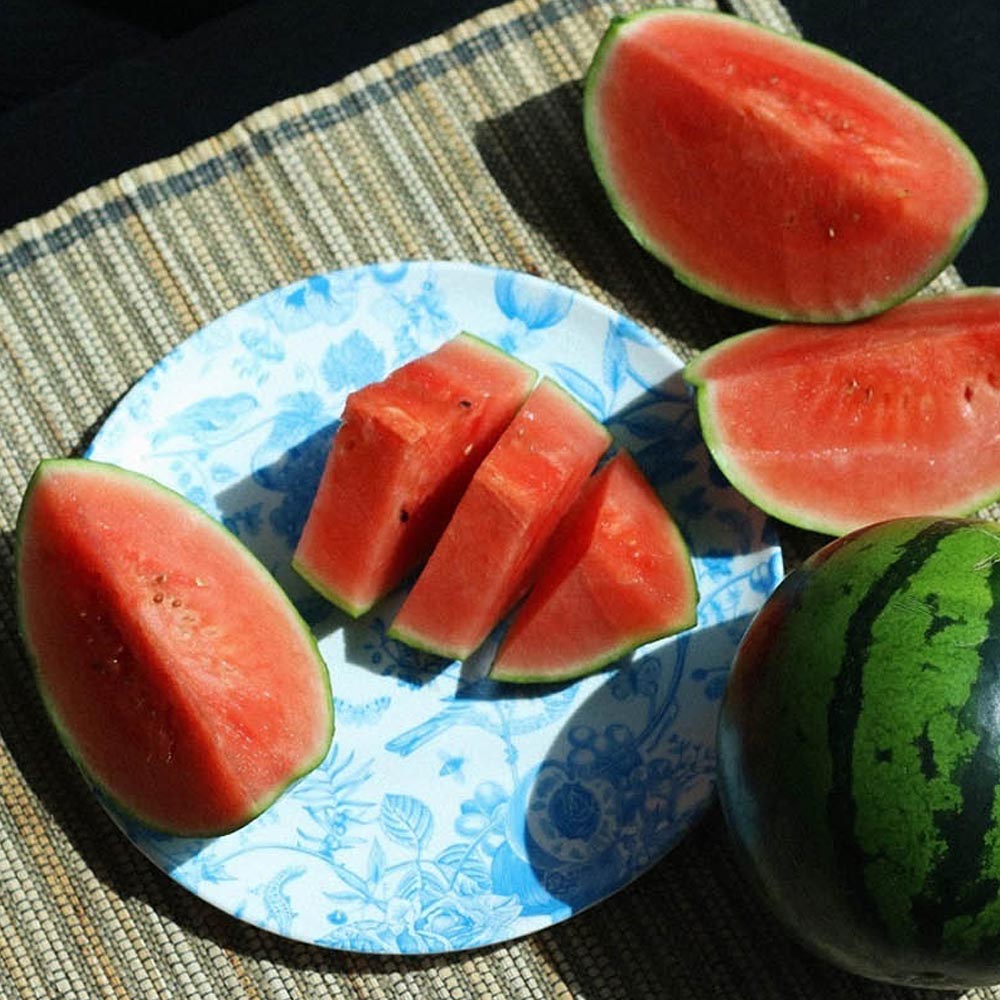 1688708798 thumbnail