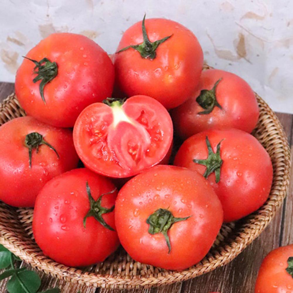 1689061882 thumbnail