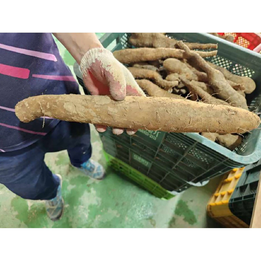 1689133148 thumbnail