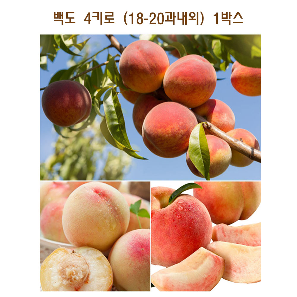 1689220087 thumbnail