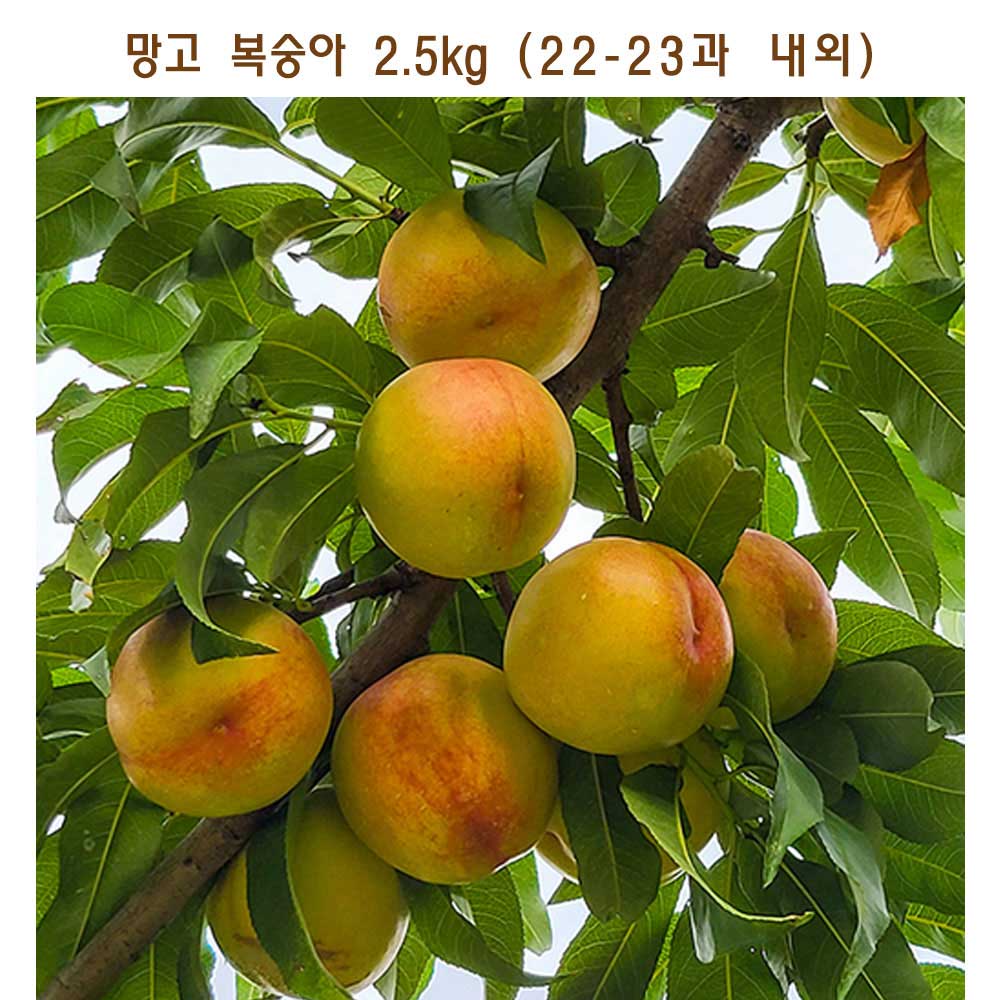 1689220091 thumbnail