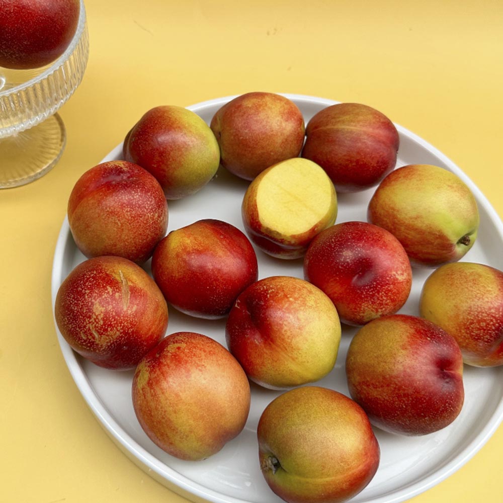 1689562687 thumbnail