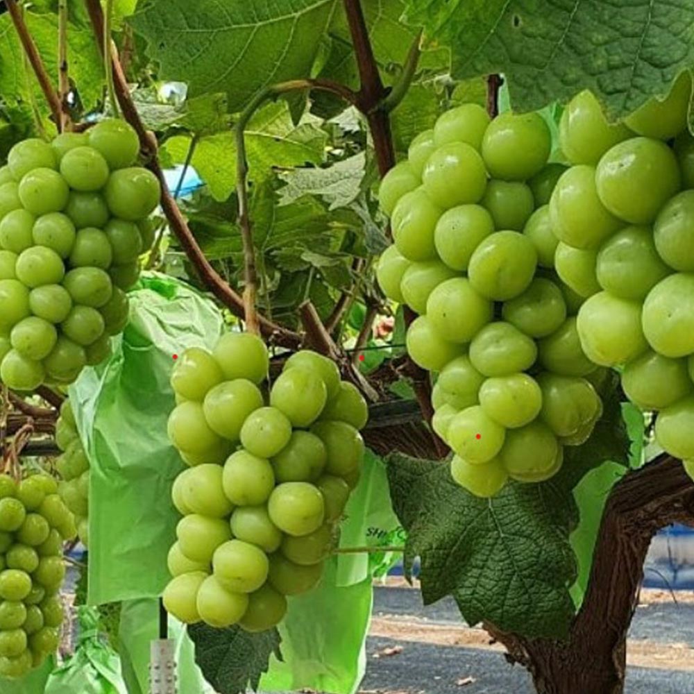 1689661573 thumbnail