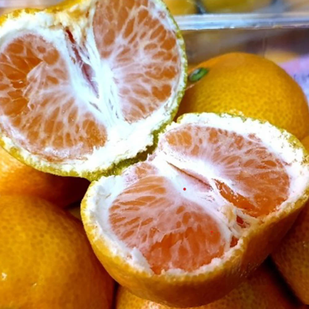 1689661574 thumbnail