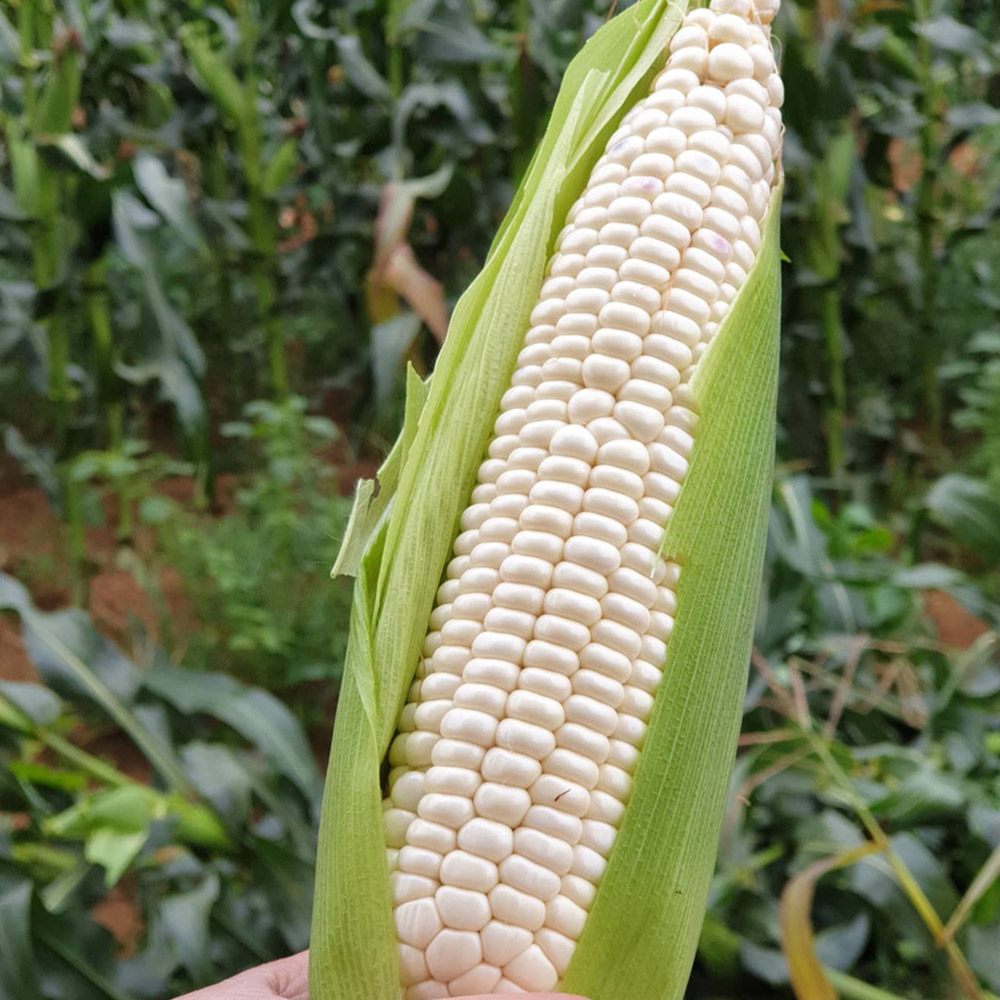 1689740123 thumbnail