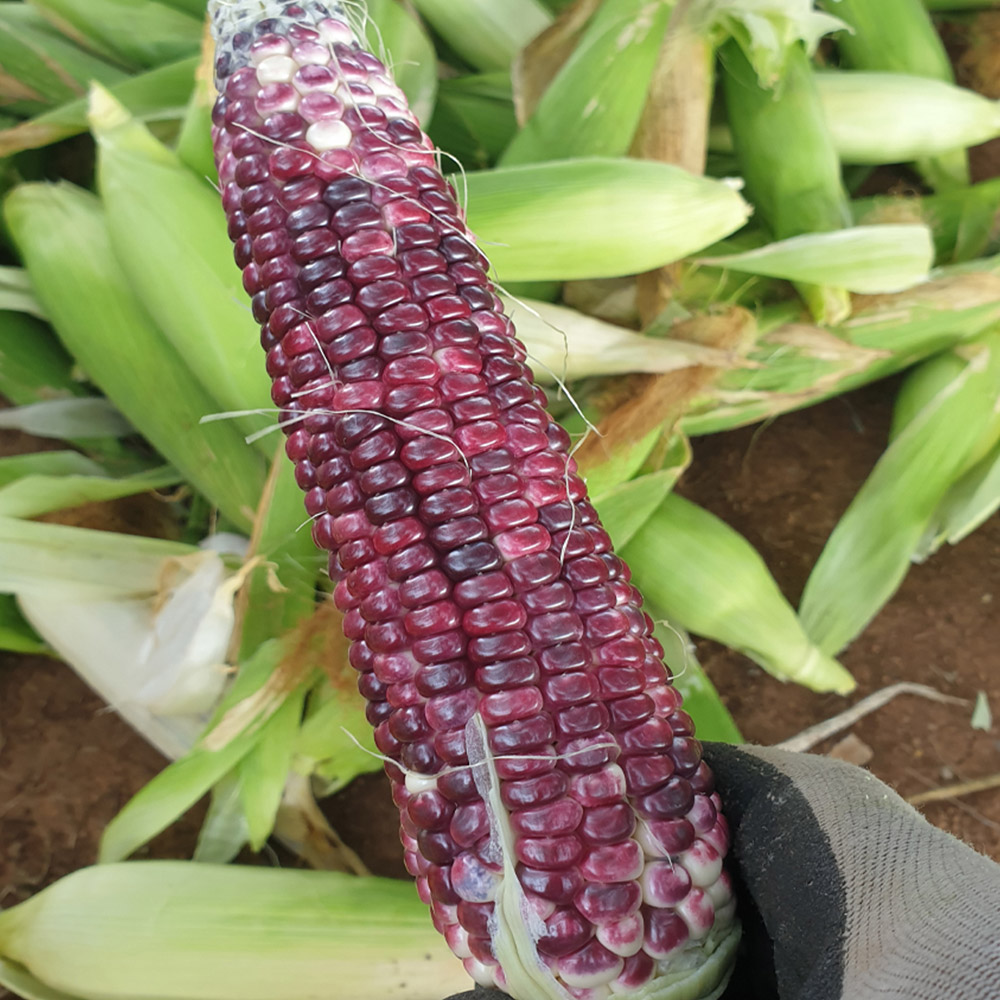 1689740124 thumbnail