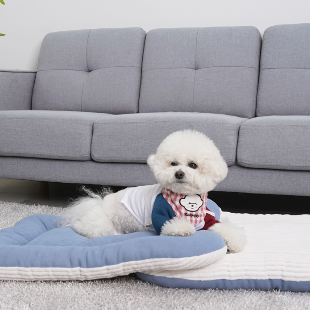 1689750974 thumbnail