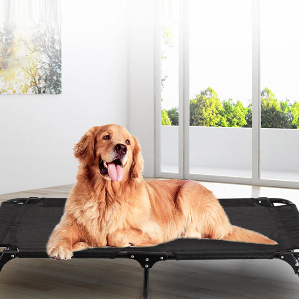 1689750976 thumbnail