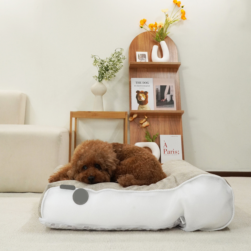 1689750992 thumbnail