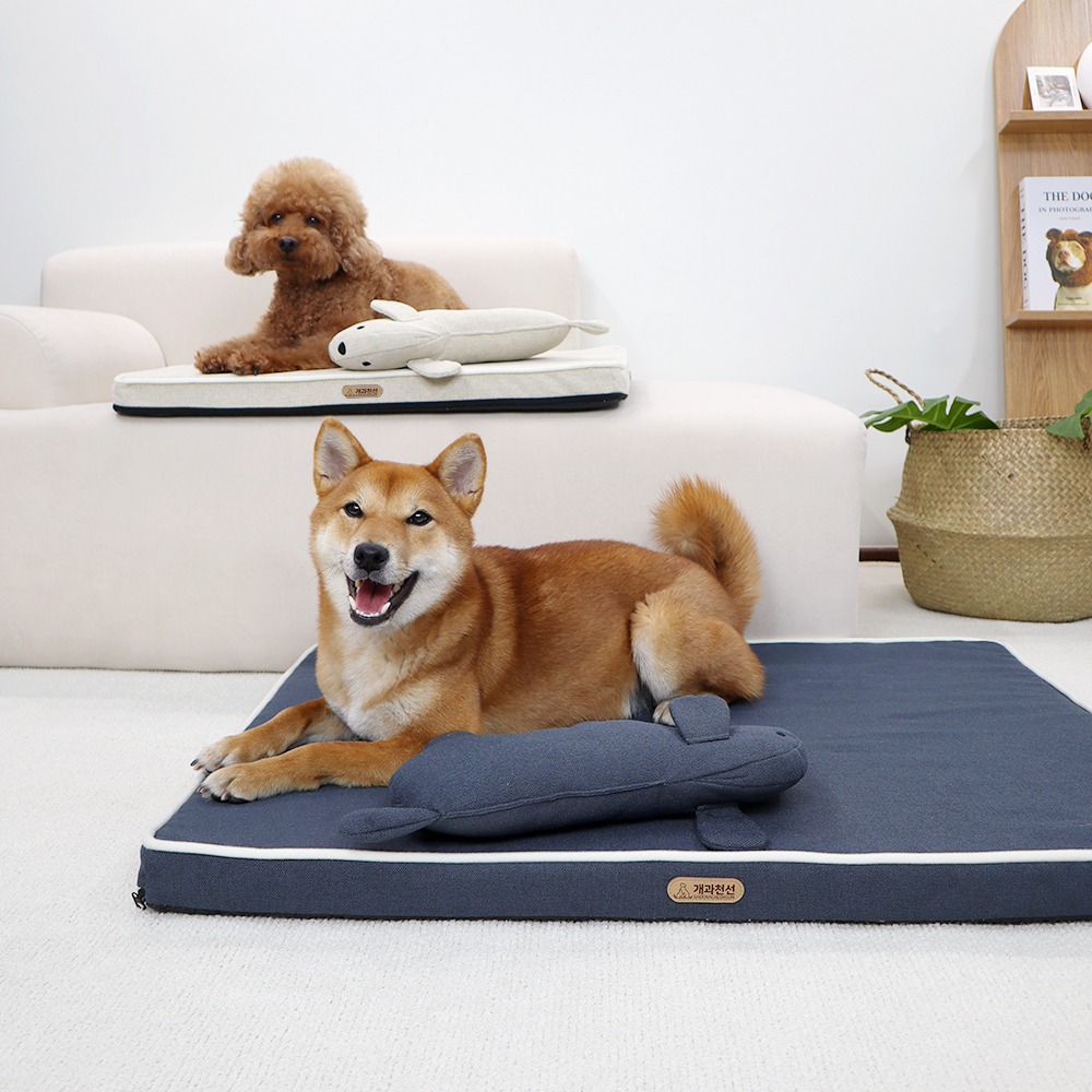 1689750994 thumbnail