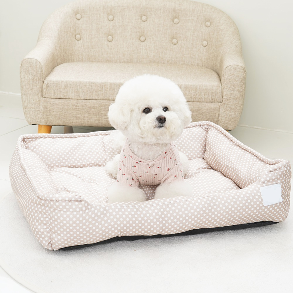 1689751004 thumbnail