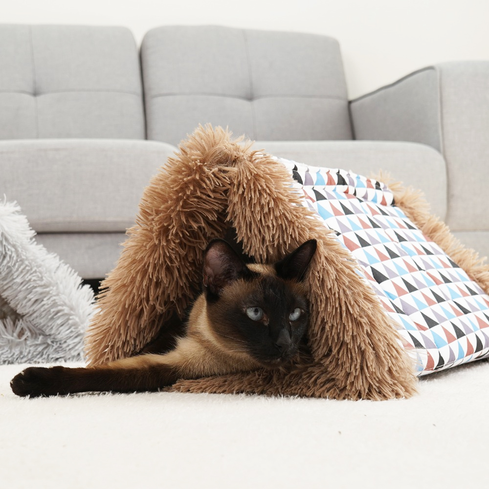 1689751005 thumbnail