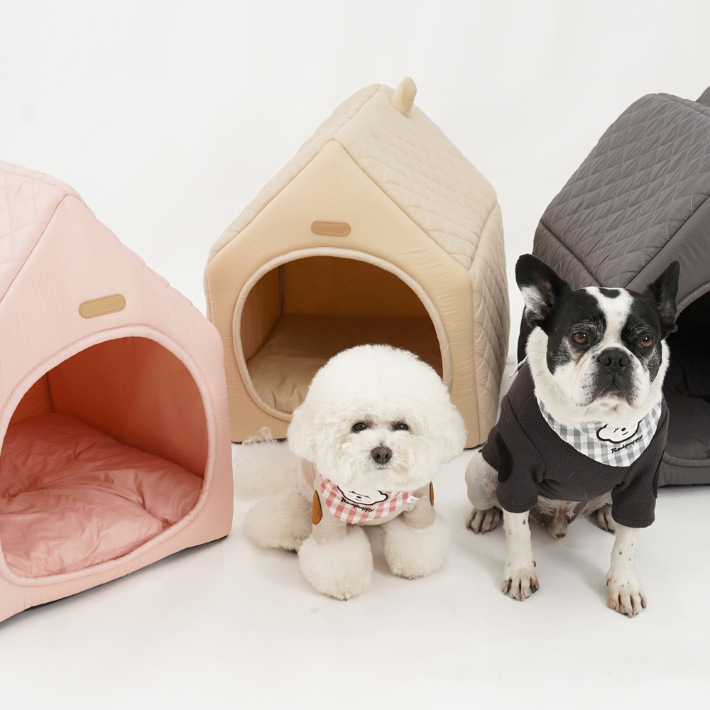 1689751006 thumbnail