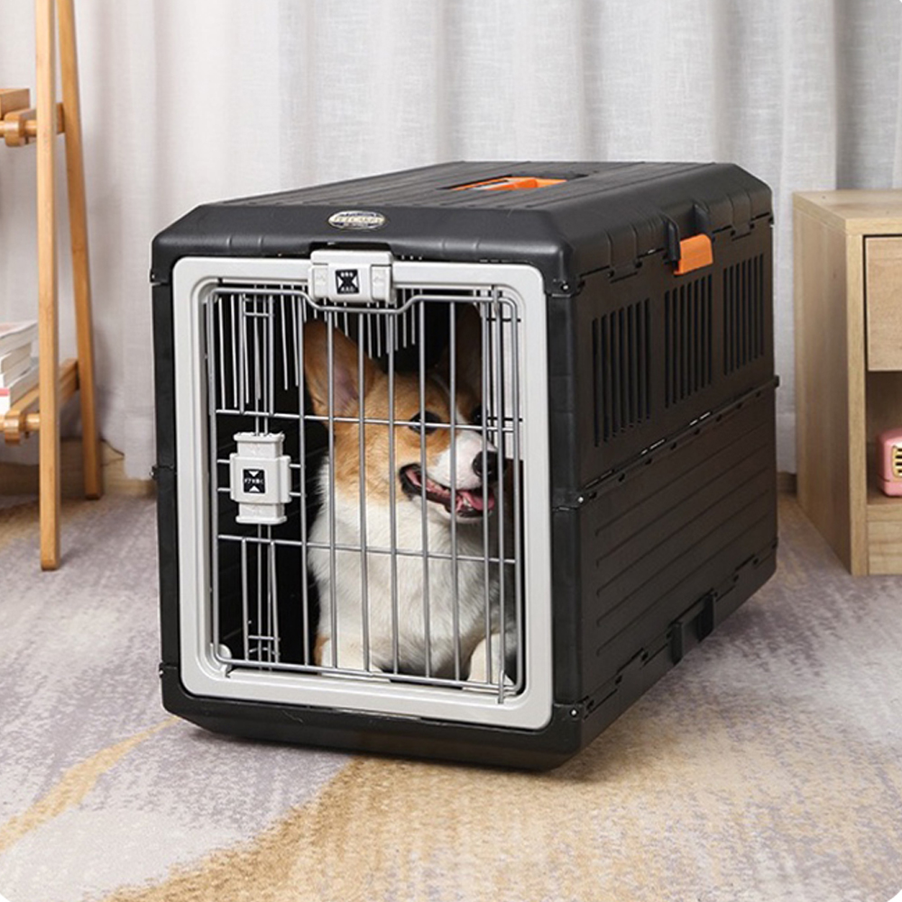 1689751010 thumbnail