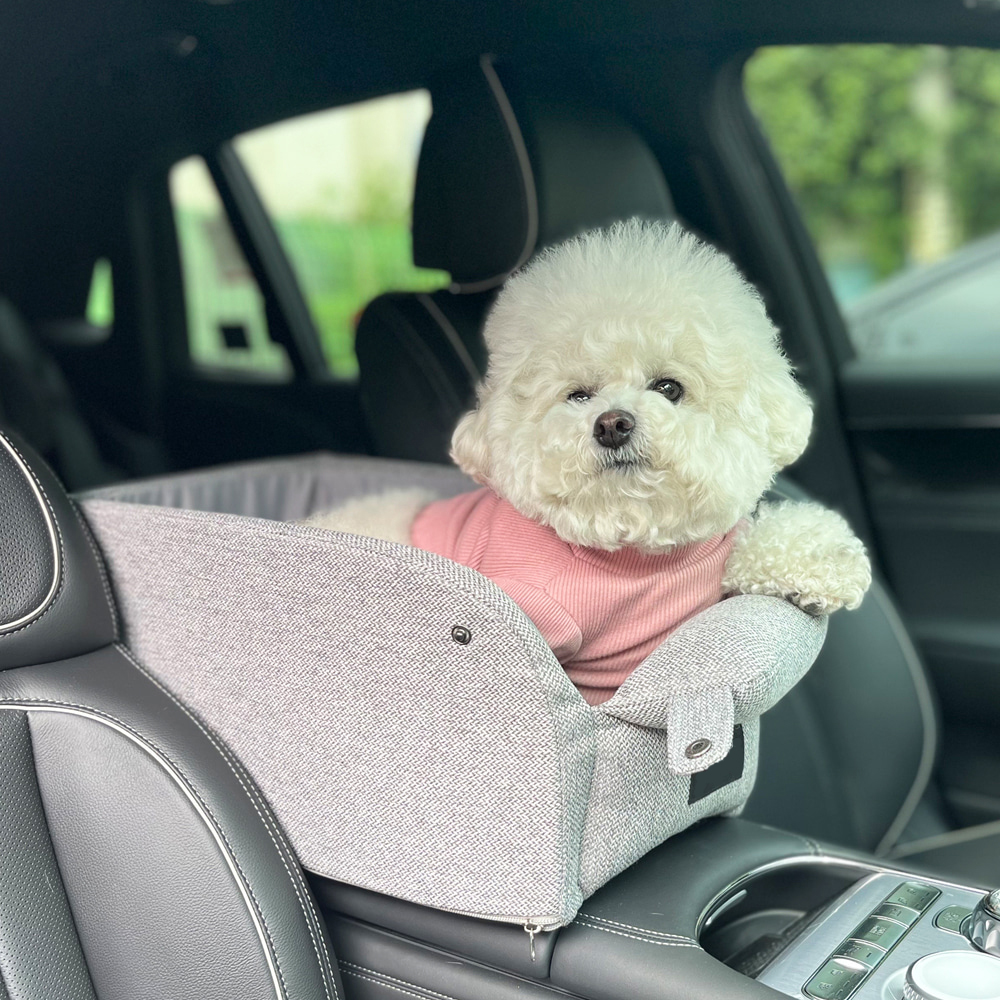 1689751019 thumbnail