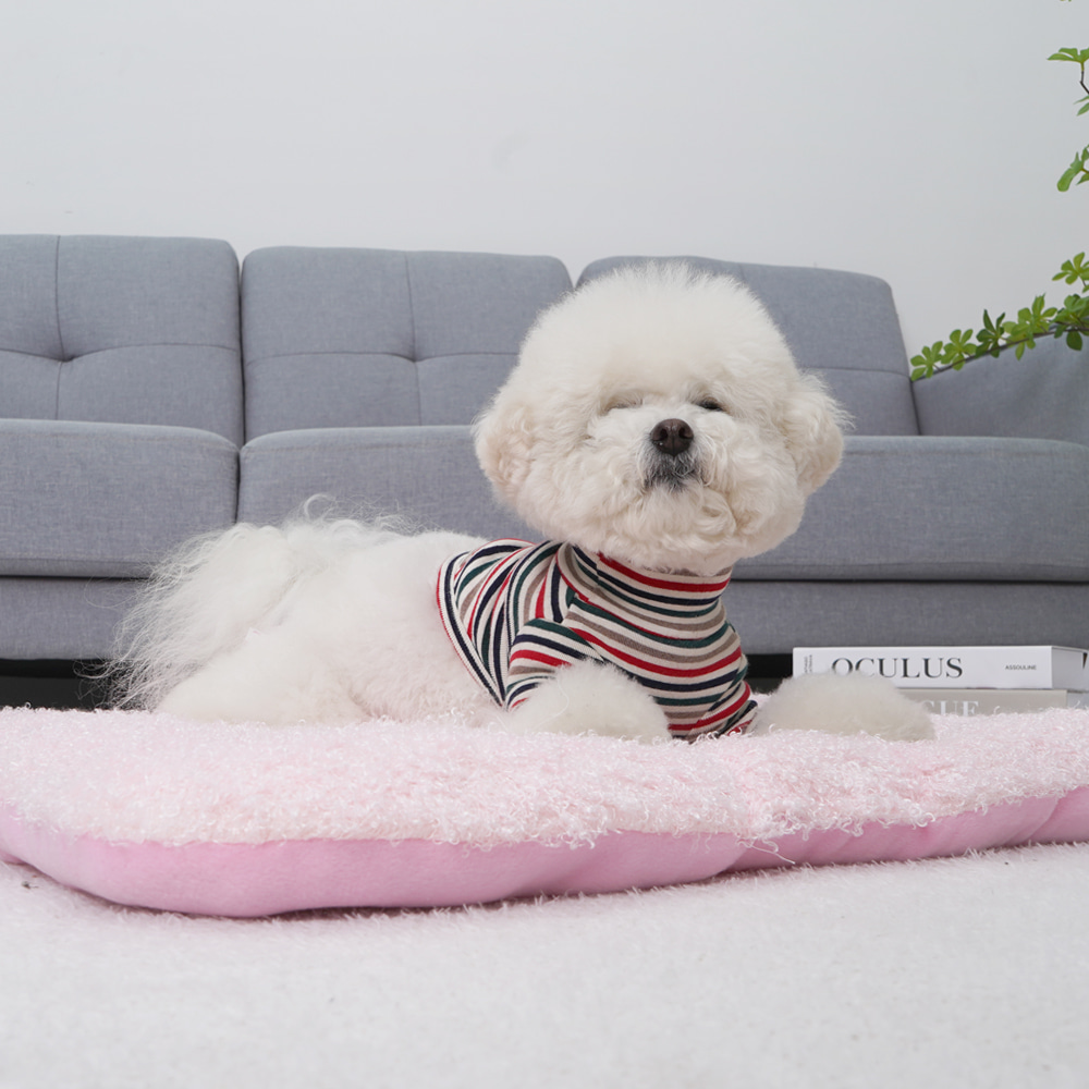 1689751031 thumbnail