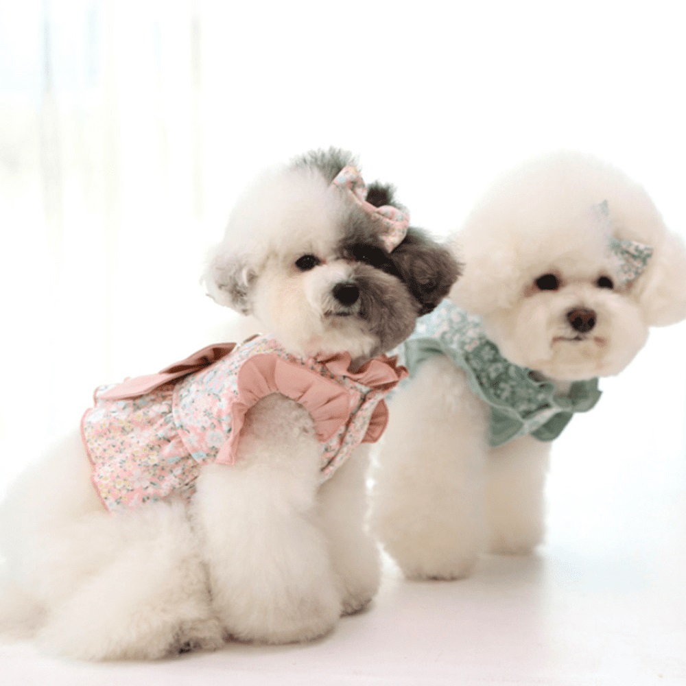 1689751041 thumbnail