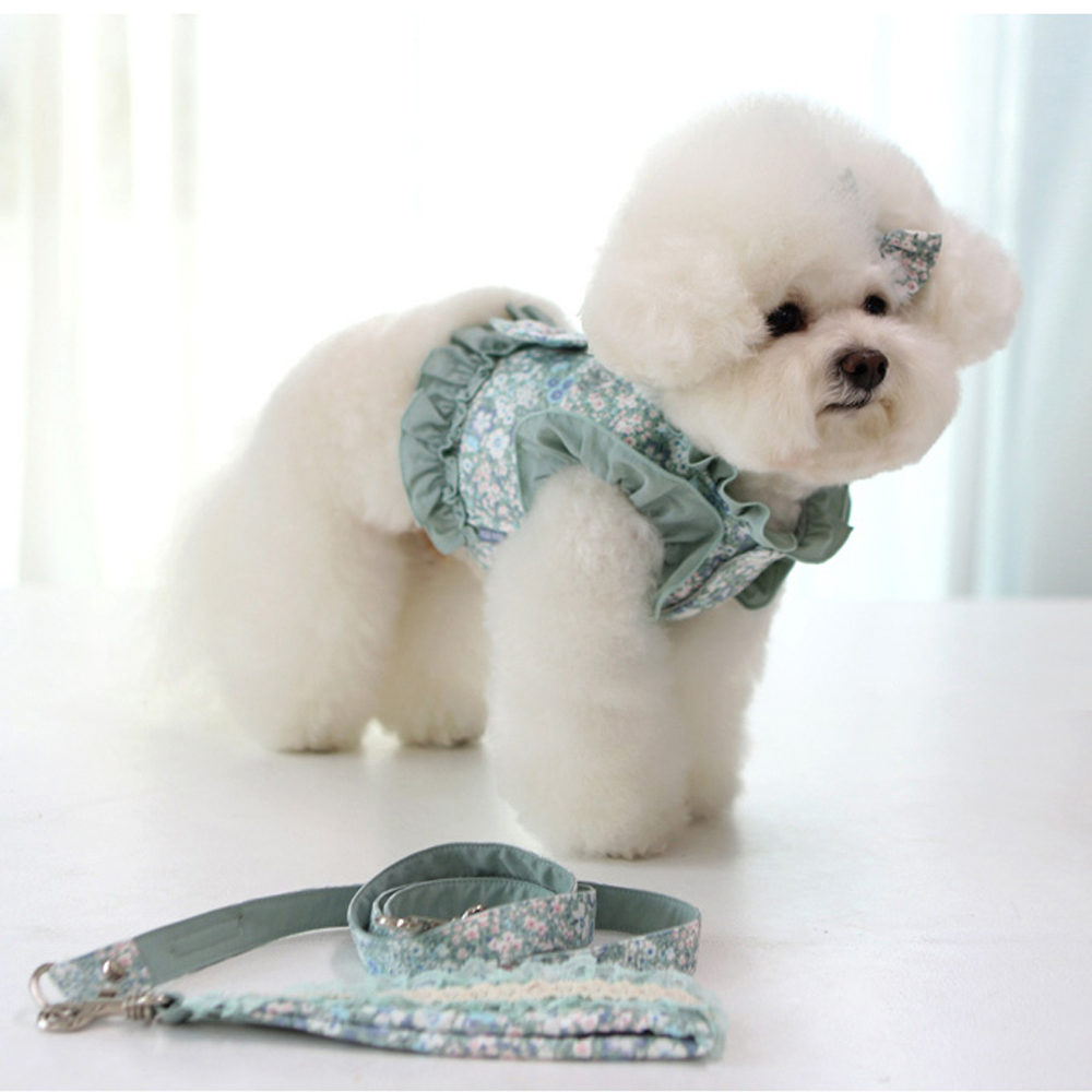 1689751045 thumbnail