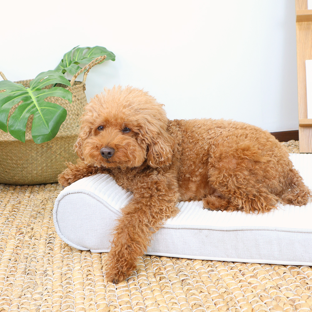 1689751051 thumbnail