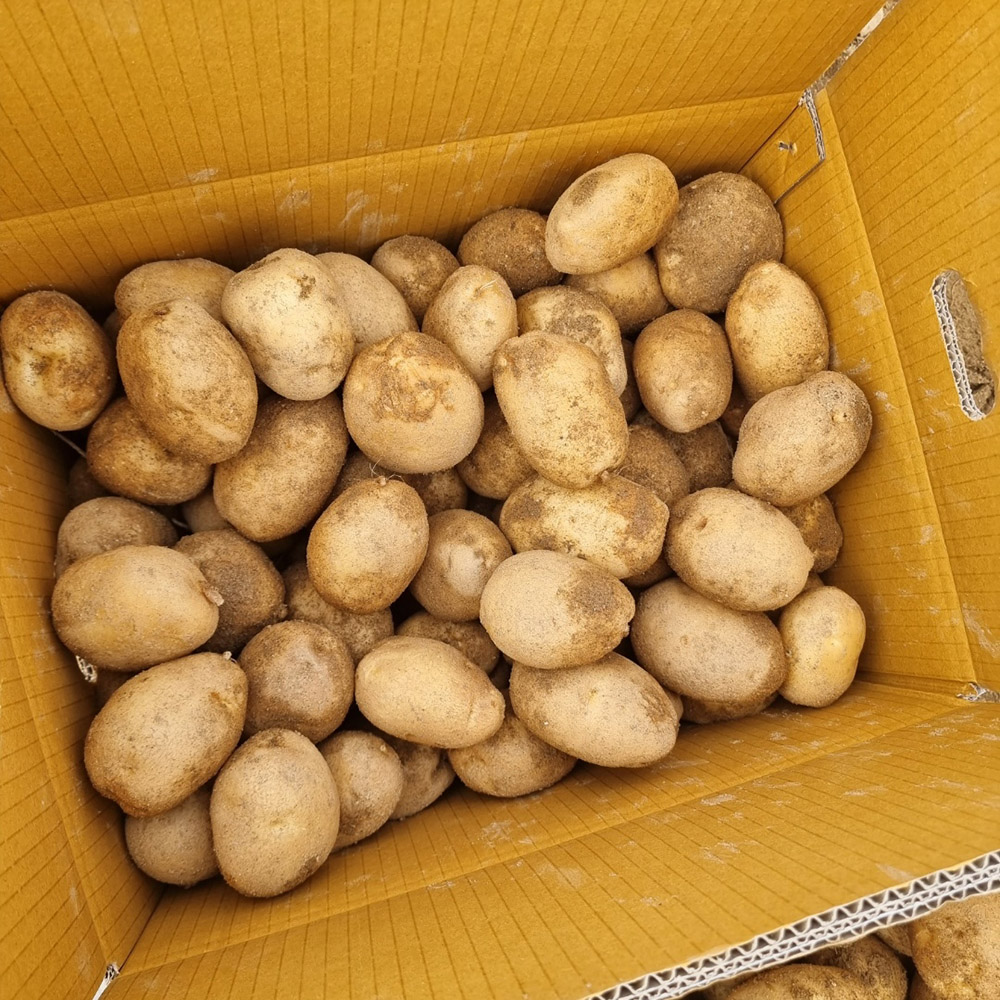 1689755992 thumbnail