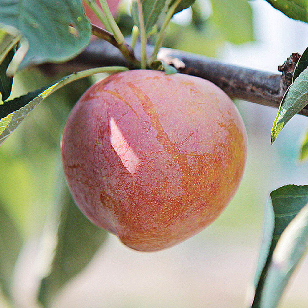 1689931169 thumbnail