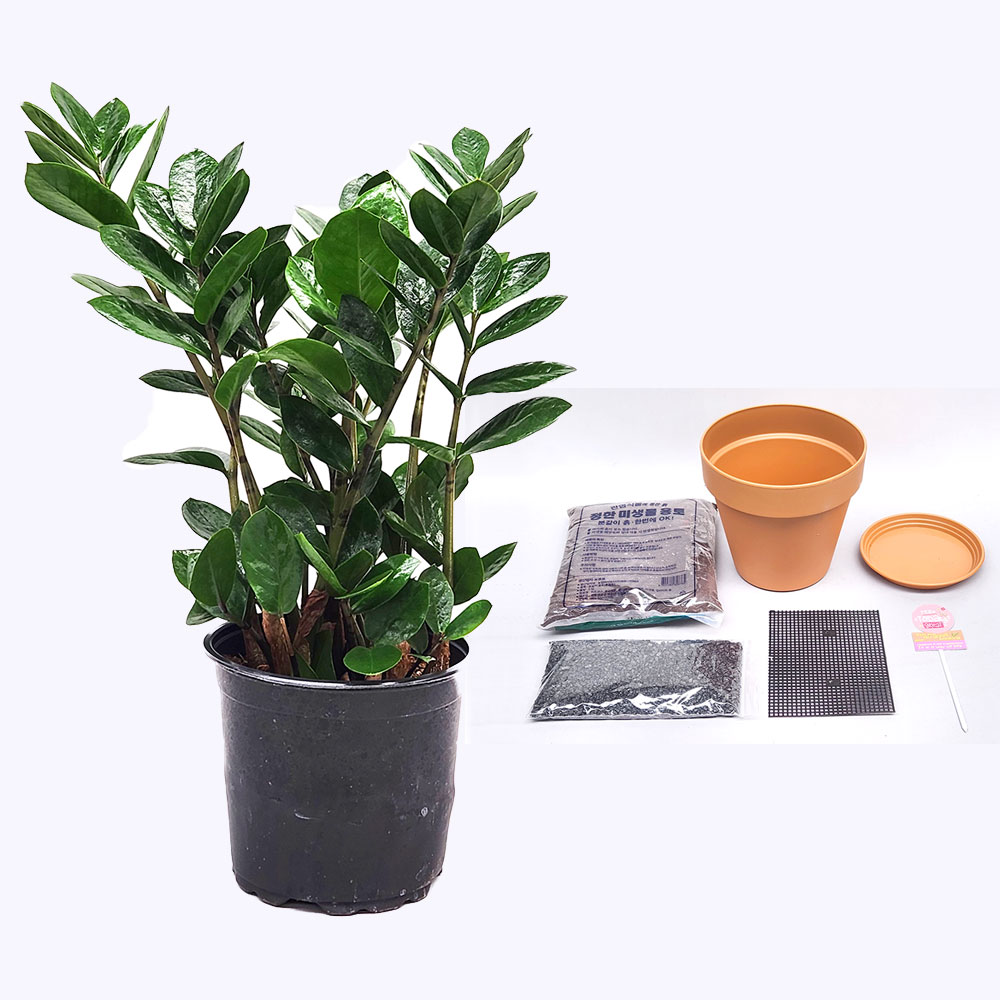 1690165242 thumbnail