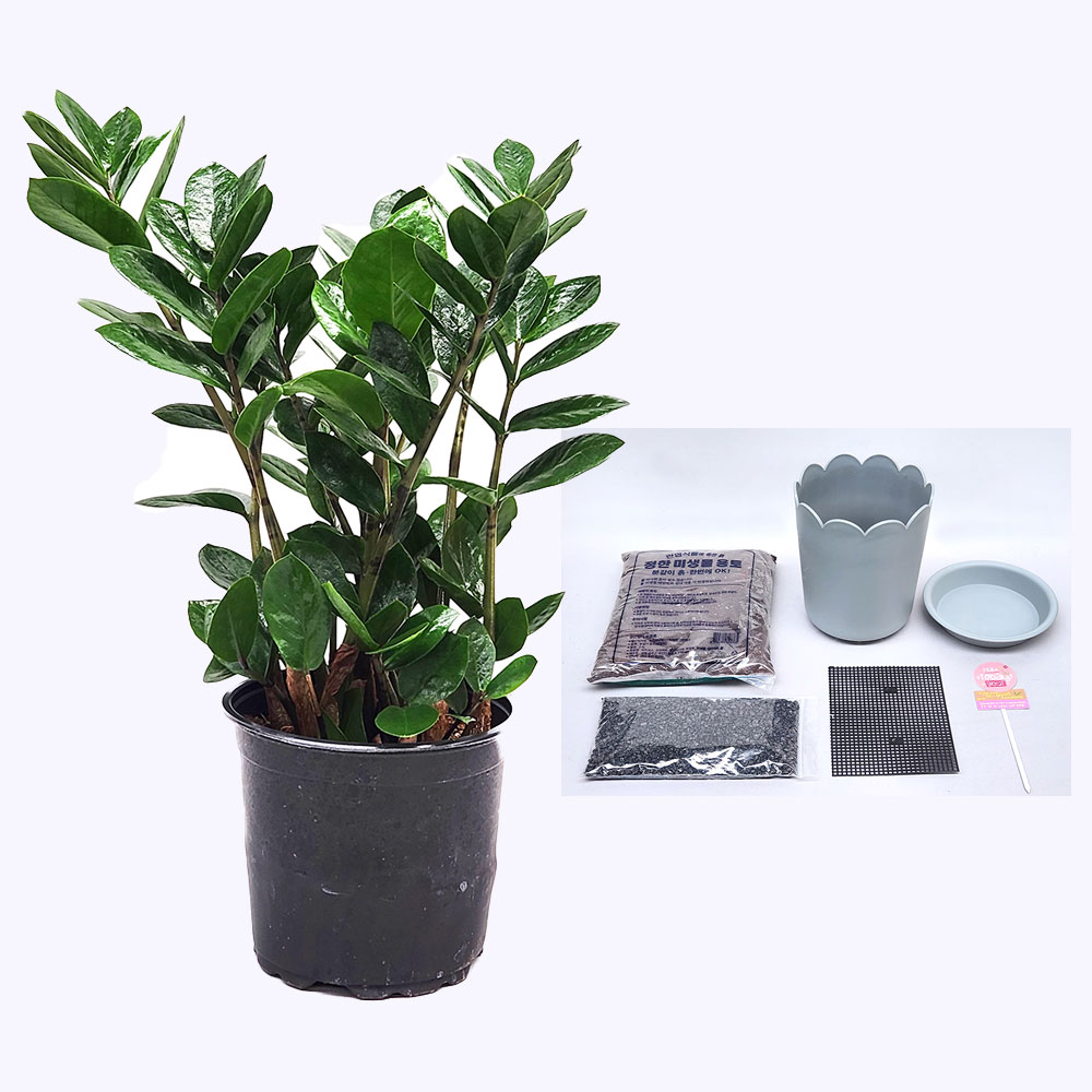 1690165243 thumbnail