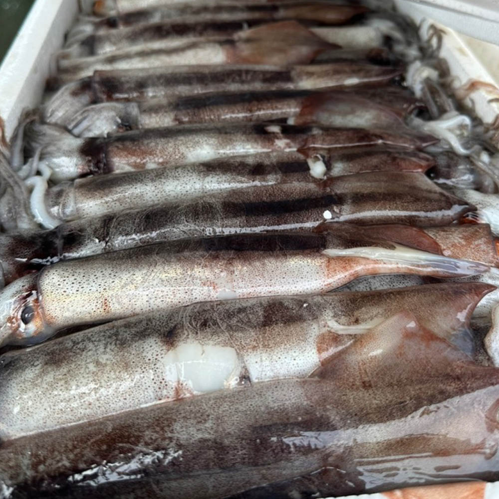 1690172492 thumbnail