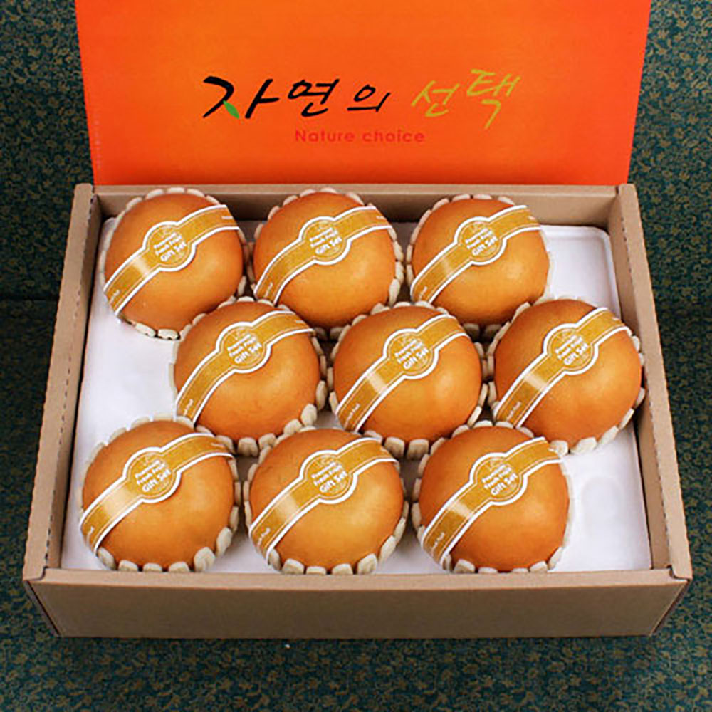 1690265406 thumbnail