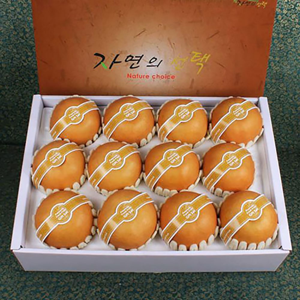 1690265407 thumbnail