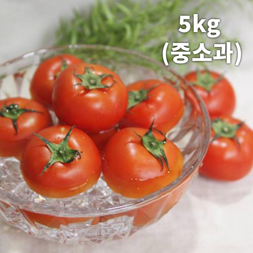 1690421050 thumbnail