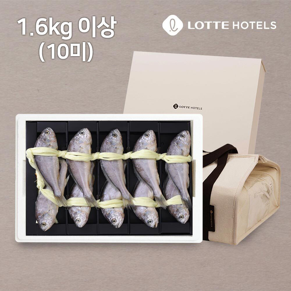 1690859530 thumbnail