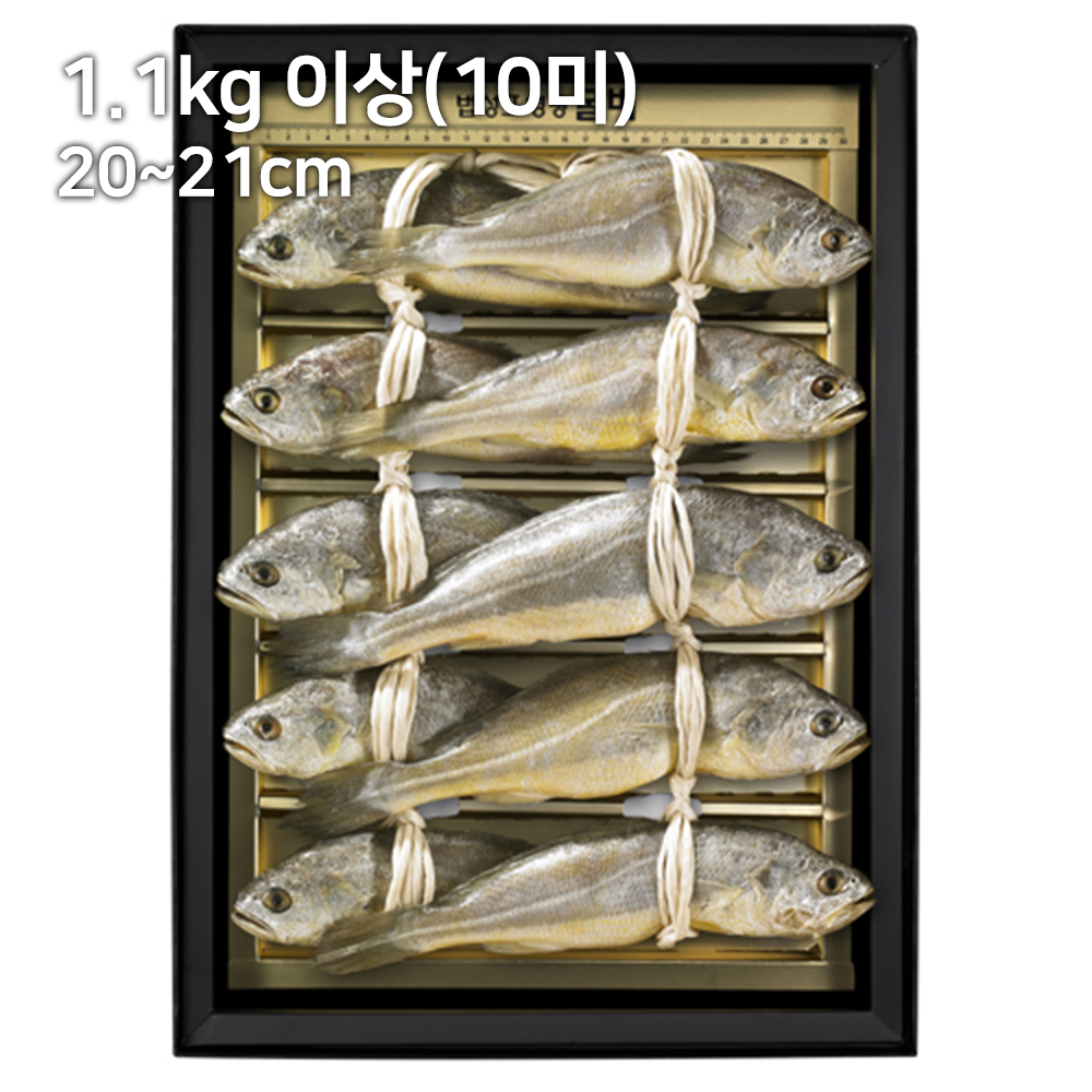 1690868020 thumbnail