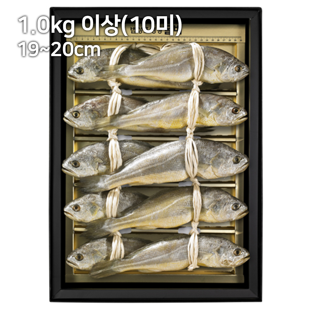 1690868021 thumbnail