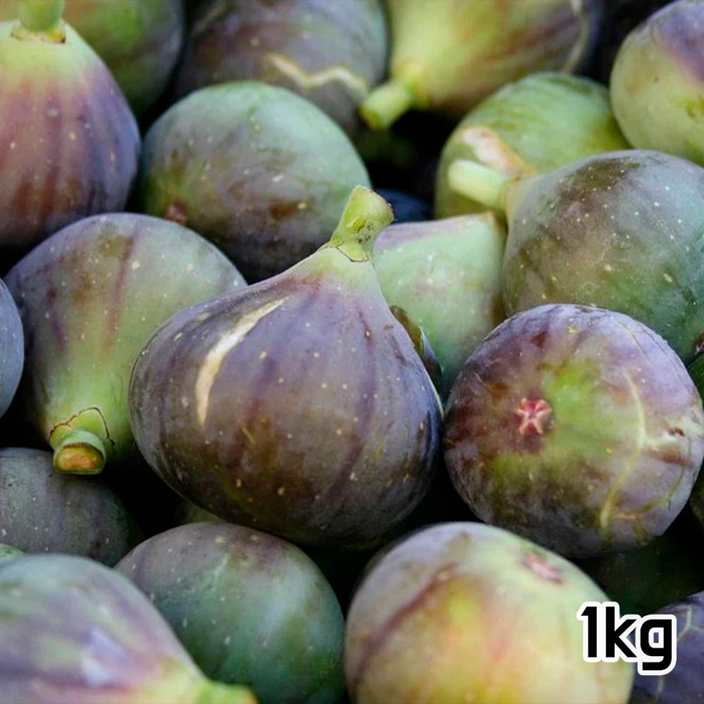 1690869076 thumbnail