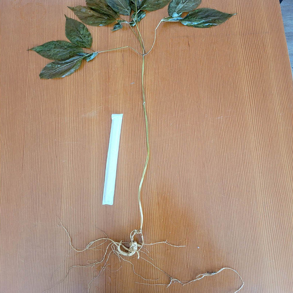 1691029635 thumbnail