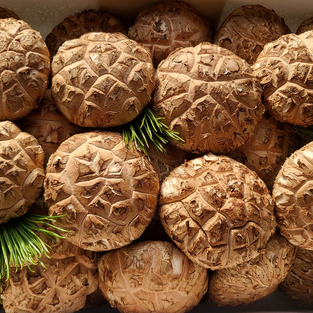 1691029637 thumbnail