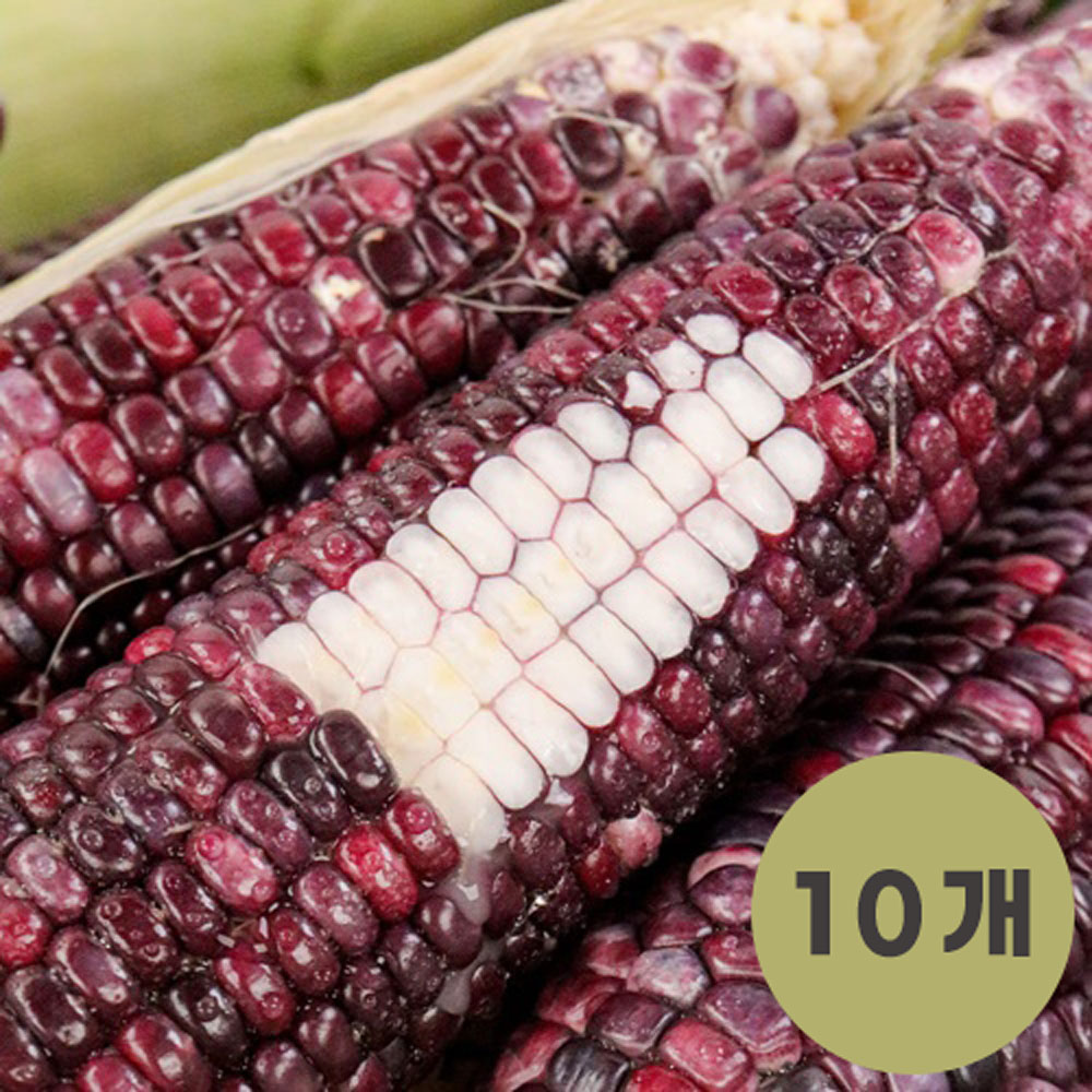 1691114379 thumbnail