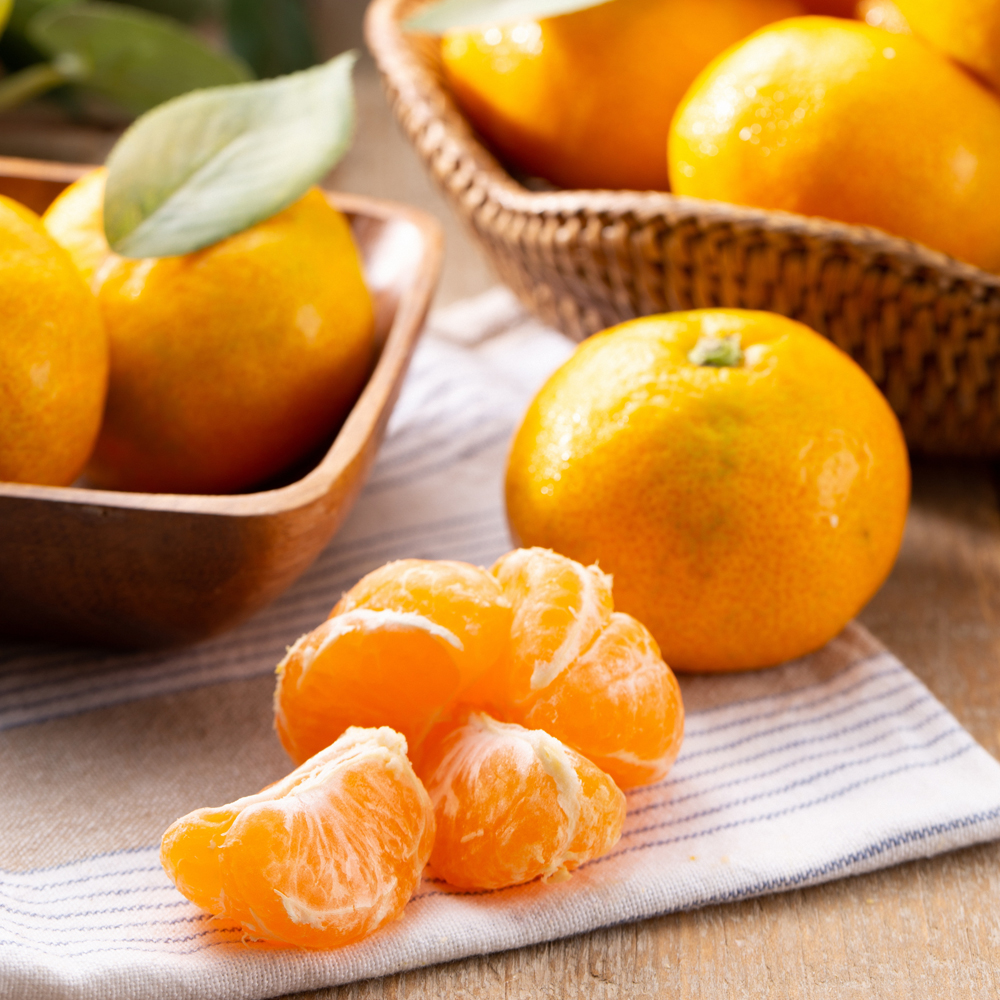 1691137772 thumbnail