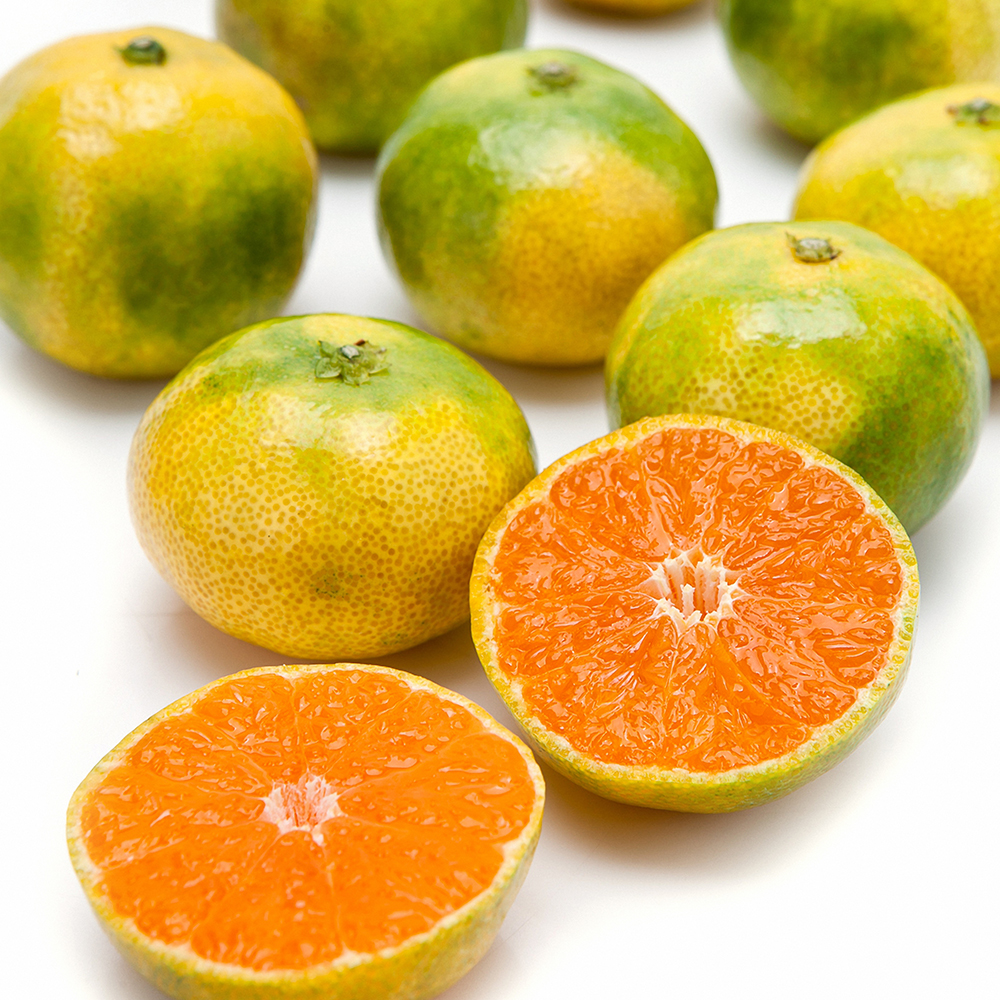 1691137773 thumbnail