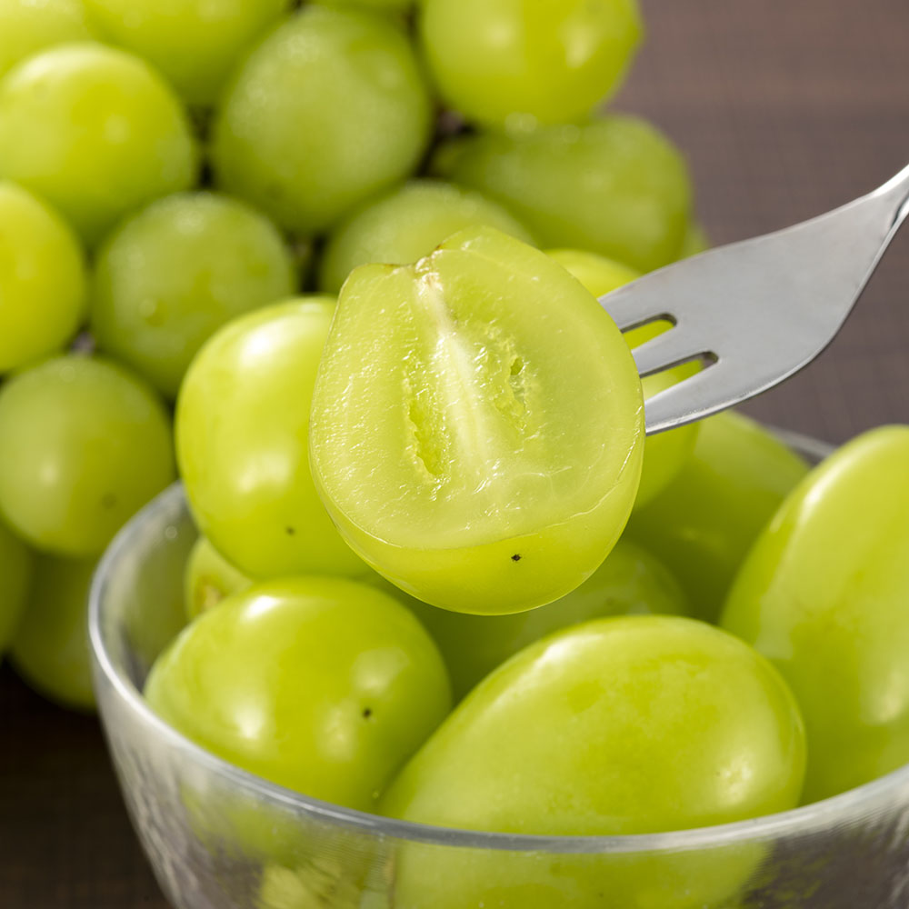 1691137782 thumbnail