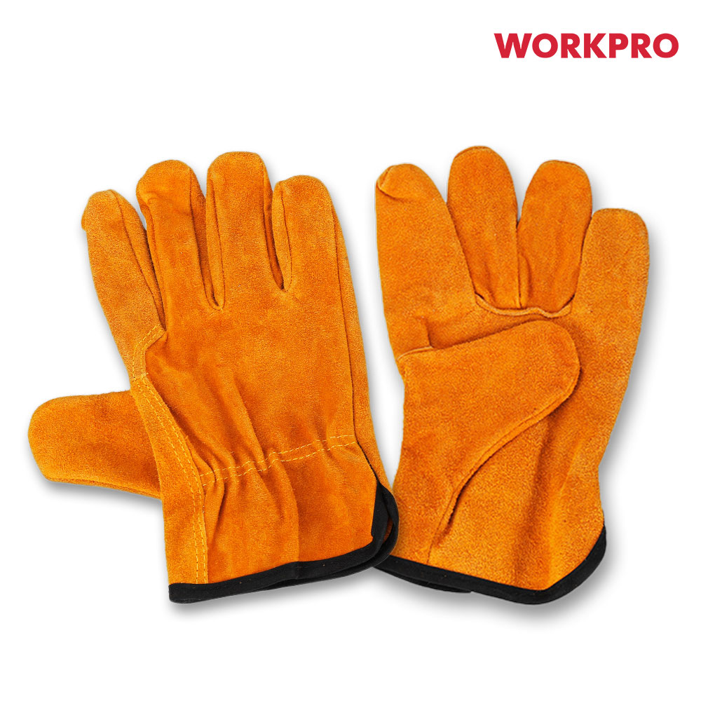 1691466667 thumbnail