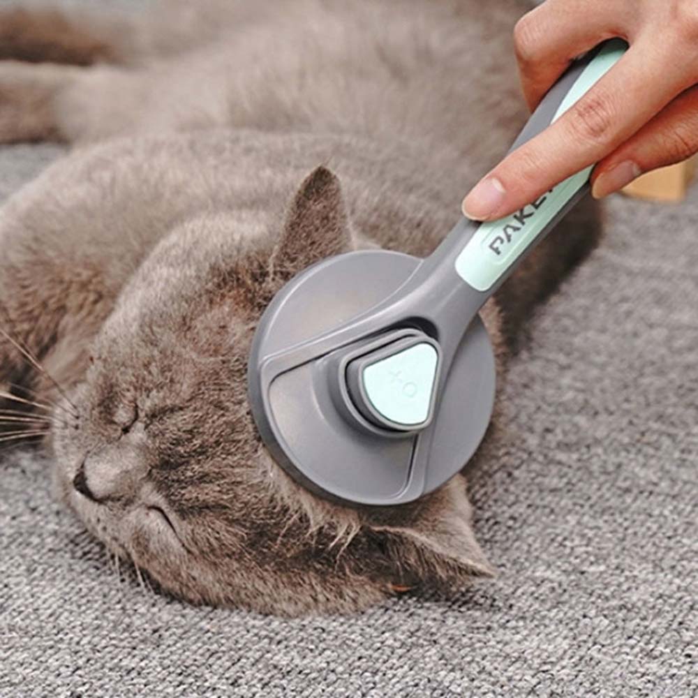 1691547625 thumbnail